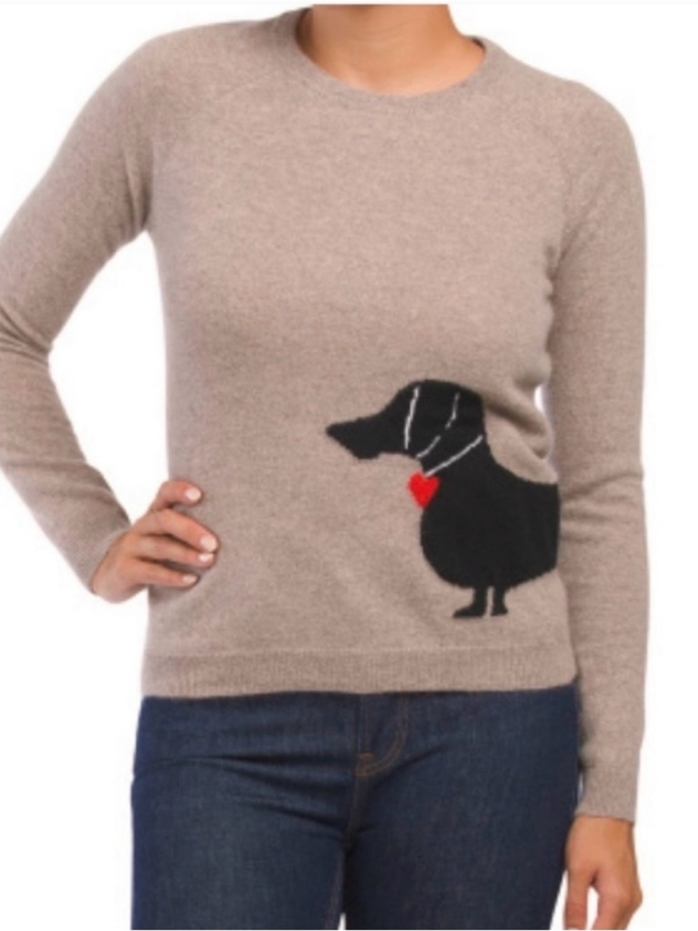 Philosophy Dachshund Cashmere Intarsia Sweater